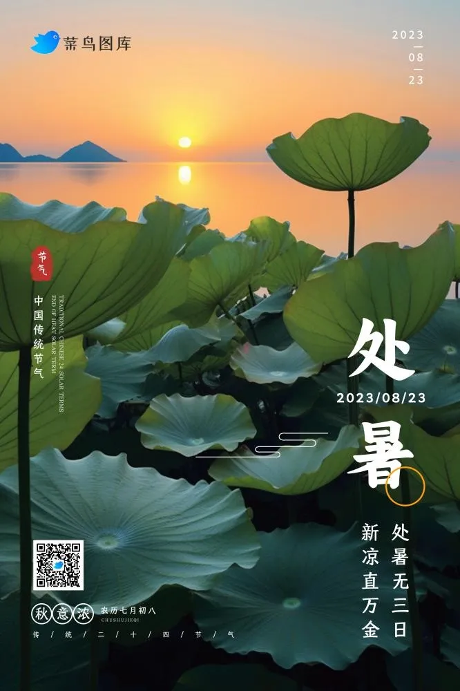 处暑荷叶河边傍晚意境简约节气海报(2362x3543)psd模版下载