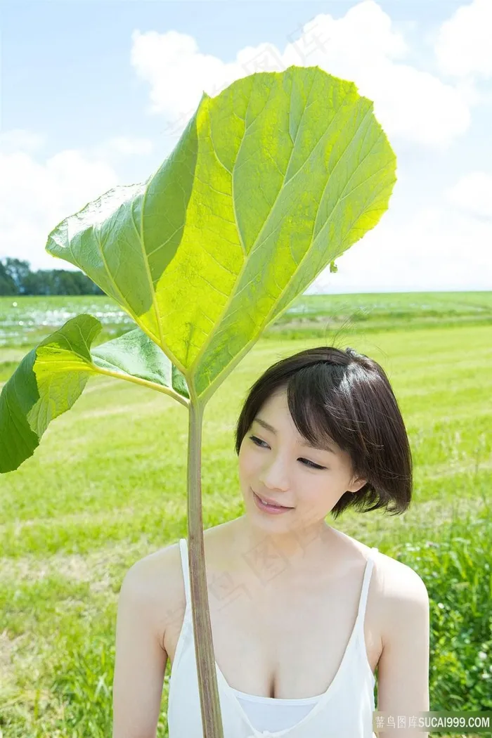 躲在树叶下的高清日本*图片