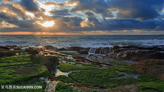海景草地风景画壁纸 海景草地风景画壁纸