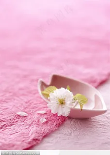 放在盘中的一朵樱花 放在盘中的一朵樱花