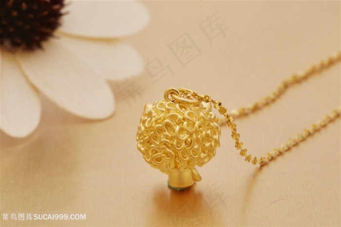 黄金项链纯金
