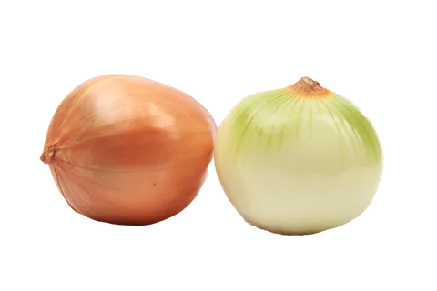 洋葱 (8)超市商品白底图免抠实物摄影png格式图片透明底