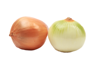 洋葱 (8)超市商品白底图免抠实物摄影png格式图片透明底