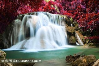 红枫林下的美丽瀑布风景图片