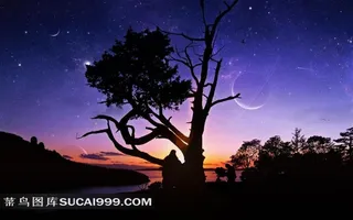 夜幕下的河流树林剪影