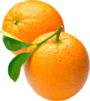 65_orange_PNG780