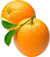 65_orange_PNG780