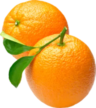 65_orange_PNG780