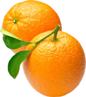 65_orange_PNG780 65_orange_PNG780