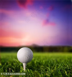 草坪上的高尔夫球图片 草坪上的高尔夫球图片