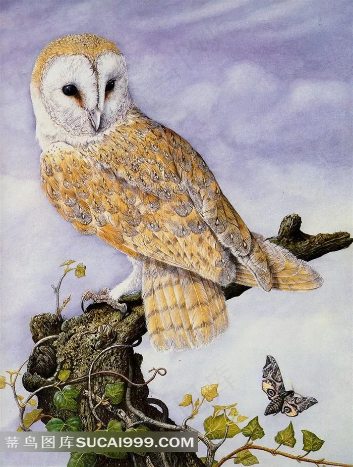 外国大师手绘动物插图树桩上的猫头鹰