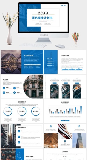 蓝色静态商务风项目计划书PPT预览图