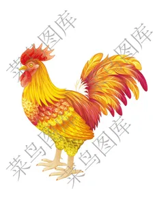 公鸡矢量图 公鸡矢量图