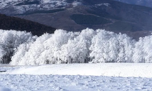 冬天自然背景风景 冬天自然背景风景