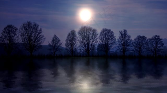 月亮, 湖, 森林, 水, 景观, 夜晚, 自然, 月光