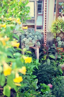 夏天天台绿植 夏天天台绿植