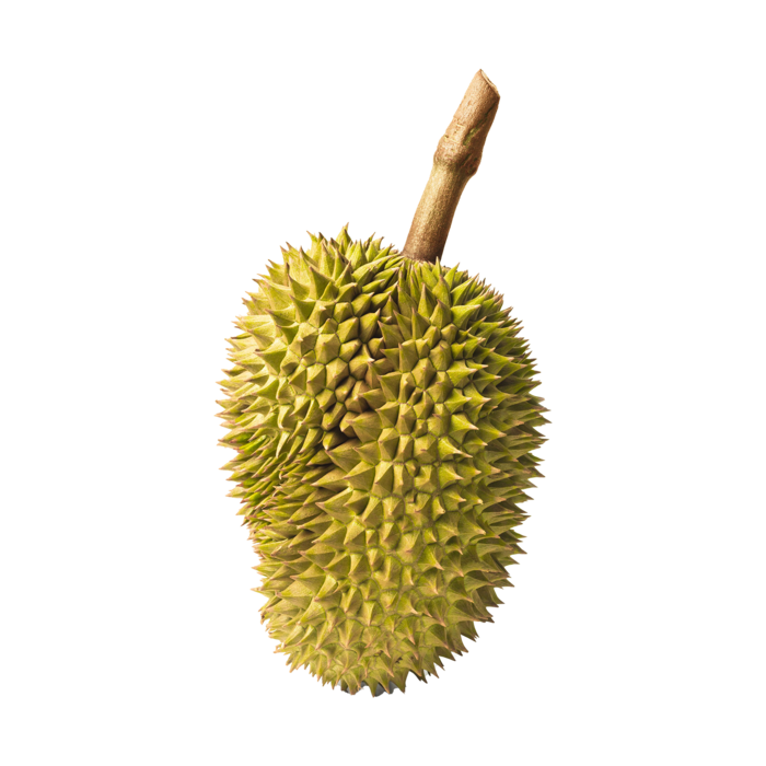 榴莲 (3)水果超市商品白底图免抠实物摄影png格式图片透明底