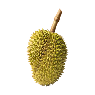榴莲 (3)水果超市商品白底图免抠实物摄影png格式图片透明底
