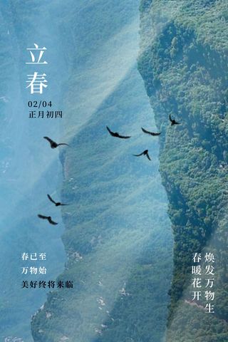 创意立春2月二月春天春季你好24二十四节气广告海报素材设计模板
