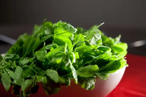 豌豆尖火锅配菜美食设计素材