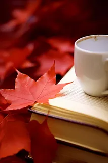 简约书籍水杯古典红色节气海报背景