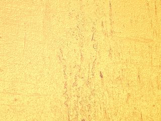黄色粗糙底纹图片素材