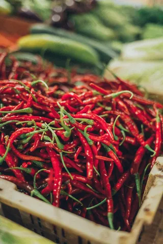 新鲜的红辣椒图片