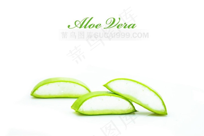 新鲜的芦荟素材
