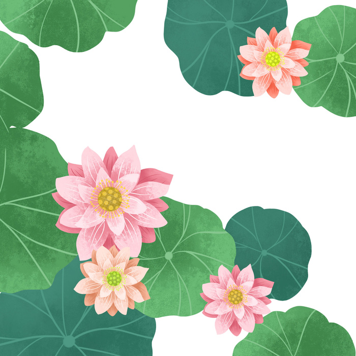 国潮中国风手绘荷花莲花荷叶莲藕植物花卉装饰插画PSD设计素材