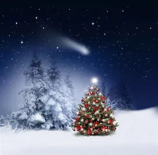 雪地里的圣诞树 雪地里的圣诞树