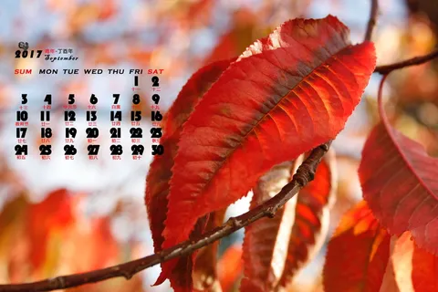 2017年9月日历图片 2017年9月日历图片