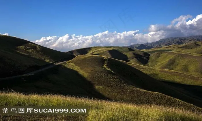 新疆伊犁托乎拉苏风景