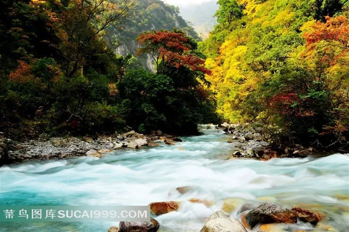 四川阿坝夹金山河流风景素材