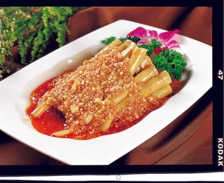 92LC386蒜泥干庶苗