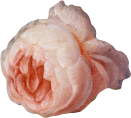 复古油画质感宫廷花卉植物花朵鲜花拼贴图案PNG免抠图片设计素材