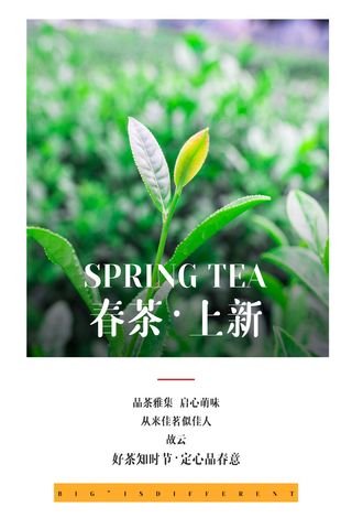 绿色唯美风格春天春茶上市海报