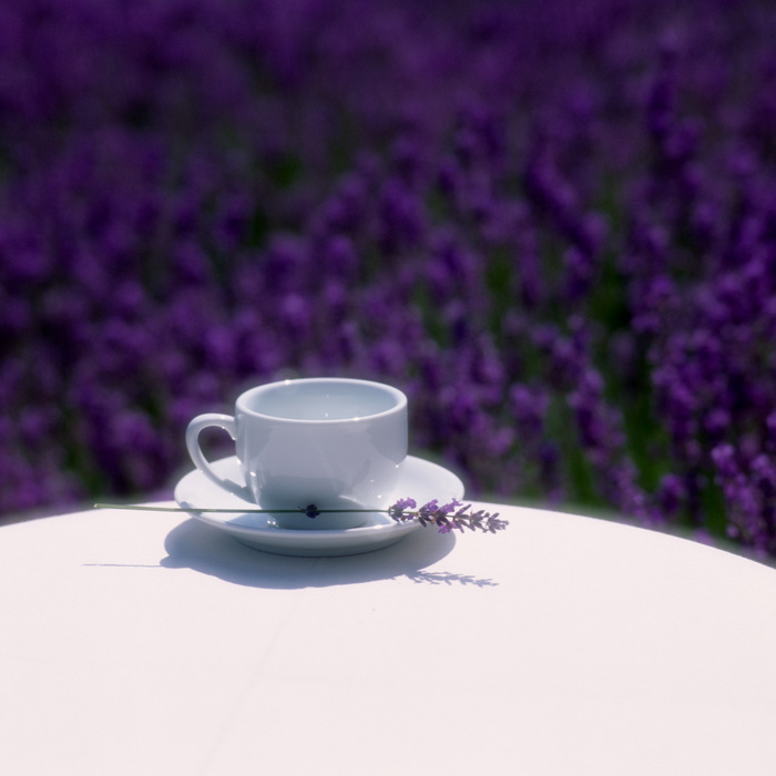 温馨生活茶杯