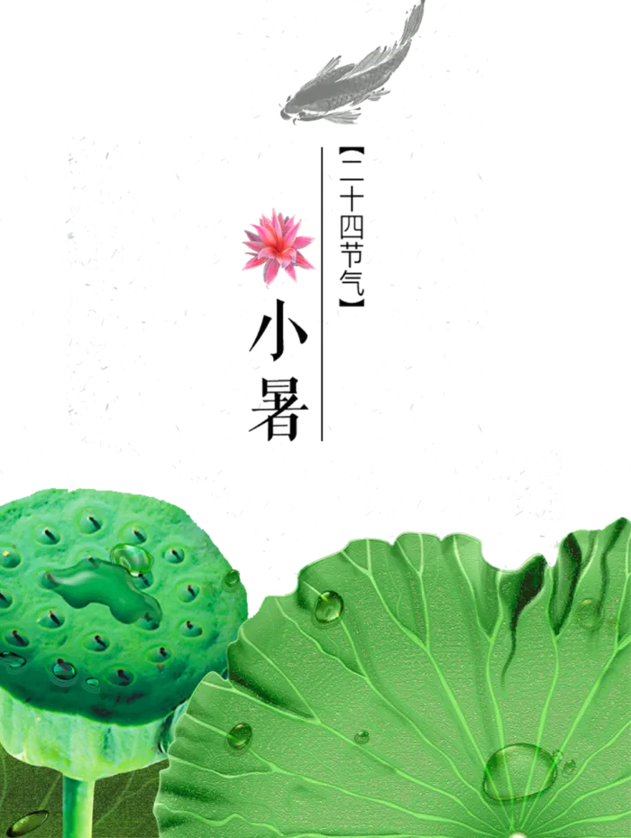 24节气小暑