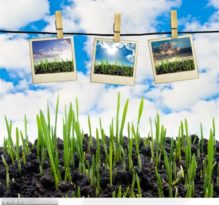 相框边框-草地上悬挂的相片