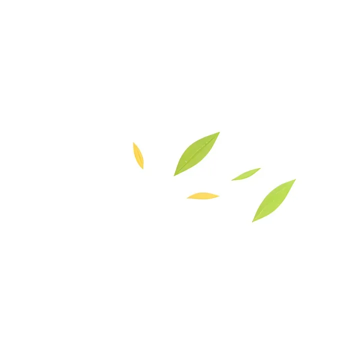 几片树叶飘在空中png免抠(2048x2048)