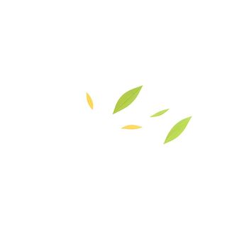 几片树叶飘在空中png免抠