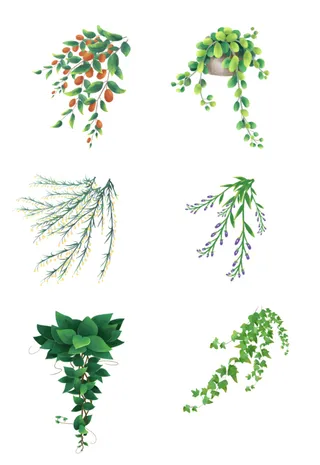 春天植物藤条青藤植物树叶春季插画元素