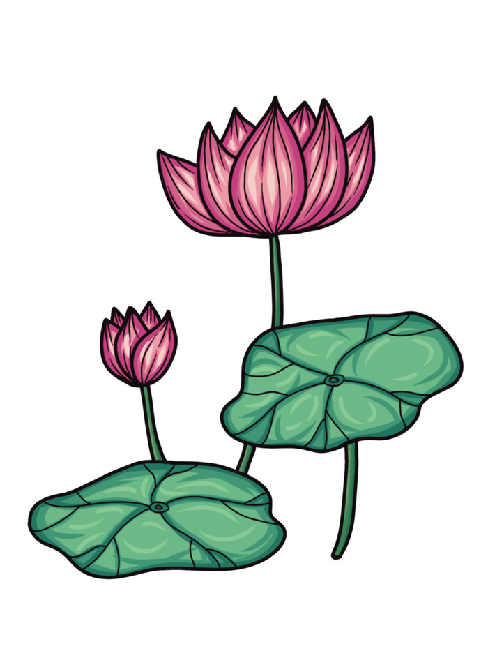 国潮中国风手绘荷花莲花荷叶莲藕植物花卉装饰插画PSD设计素材