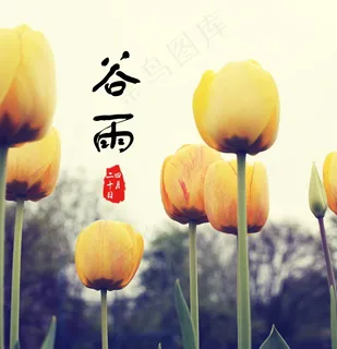 春日谷雨节气图片 春日谷雨节气图片