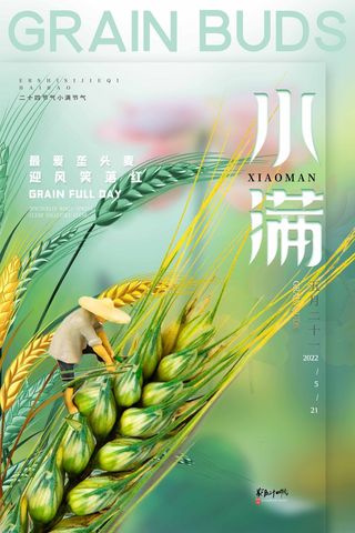 小满 小满节气海报