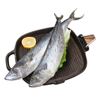 马鲛鱼 (2)海鲜超市商品红酒白底图免抠实物摄影png格式图片透明底