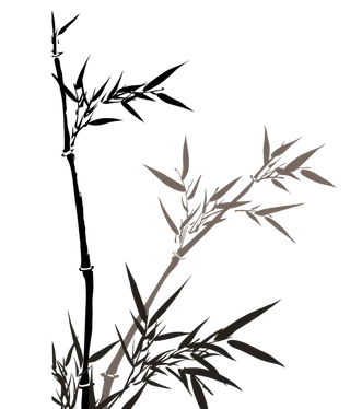 竹子水墨画中国风国画墨水书法竹子画