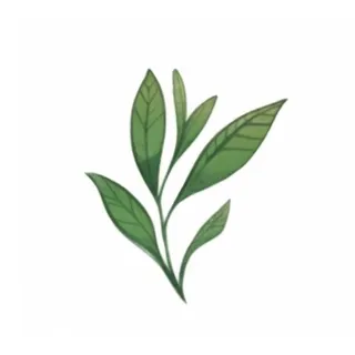 一支绿色的叶子png免抠