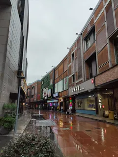 雨后步行街 雨后步行街