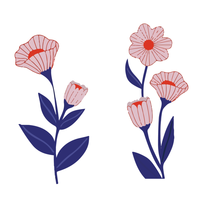 免抠清新简约粉色花朵素材